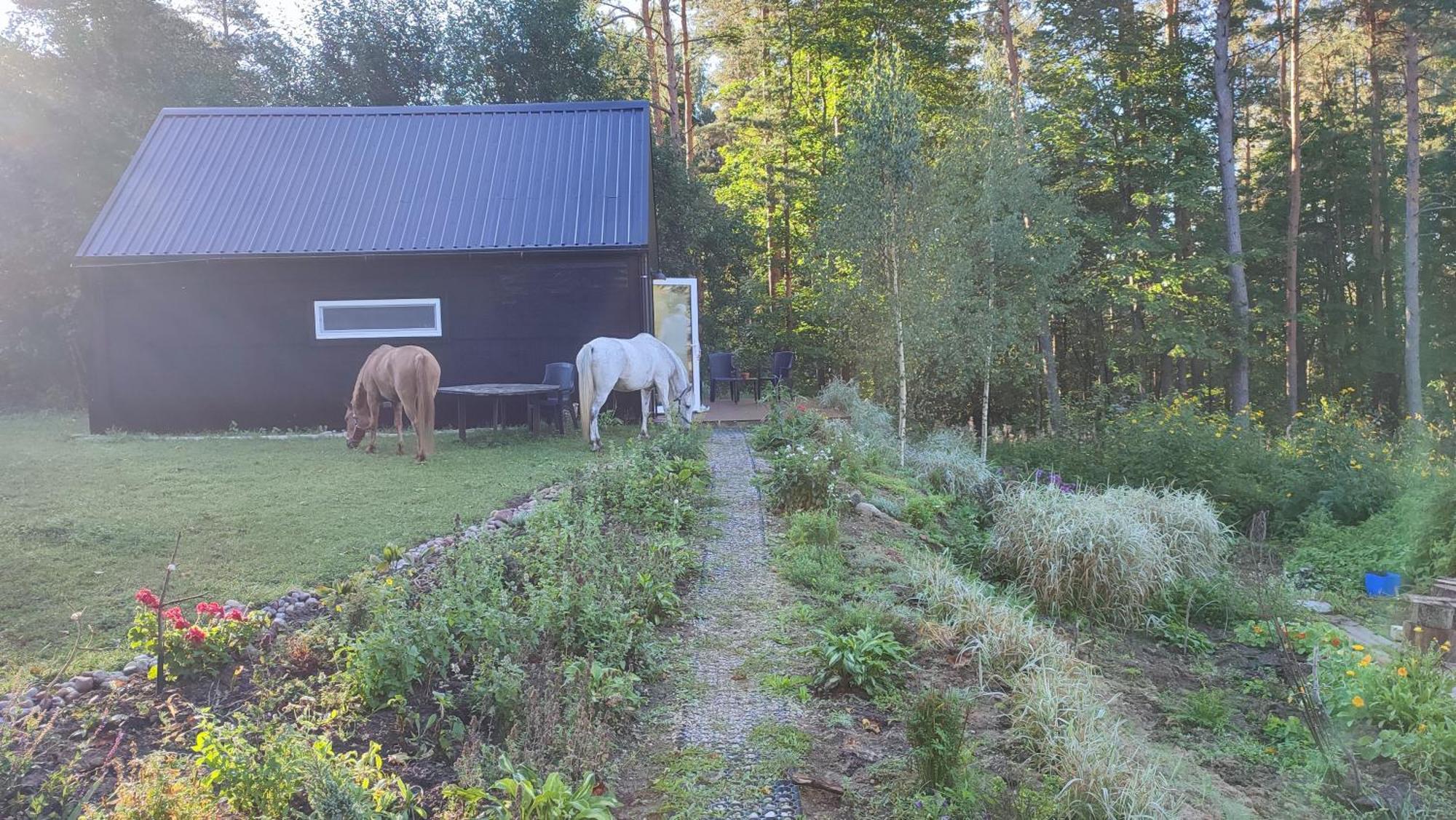Modern Sauna Cabin In Horse Ranch Liyeplauke Экстерьер фото