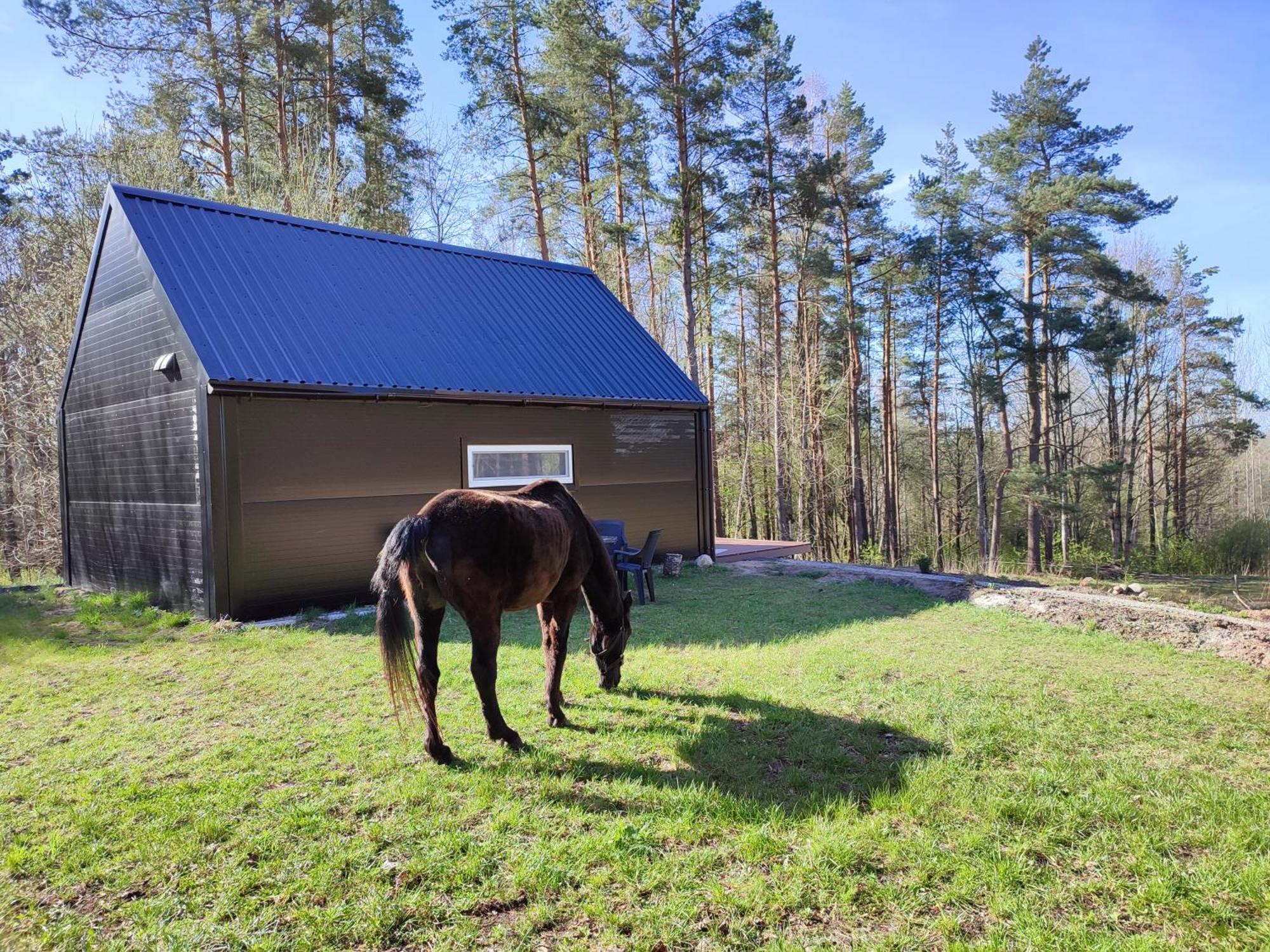 Modern Sauna Cabin In Horse Ranch Liyeplauke Экстерьер фото